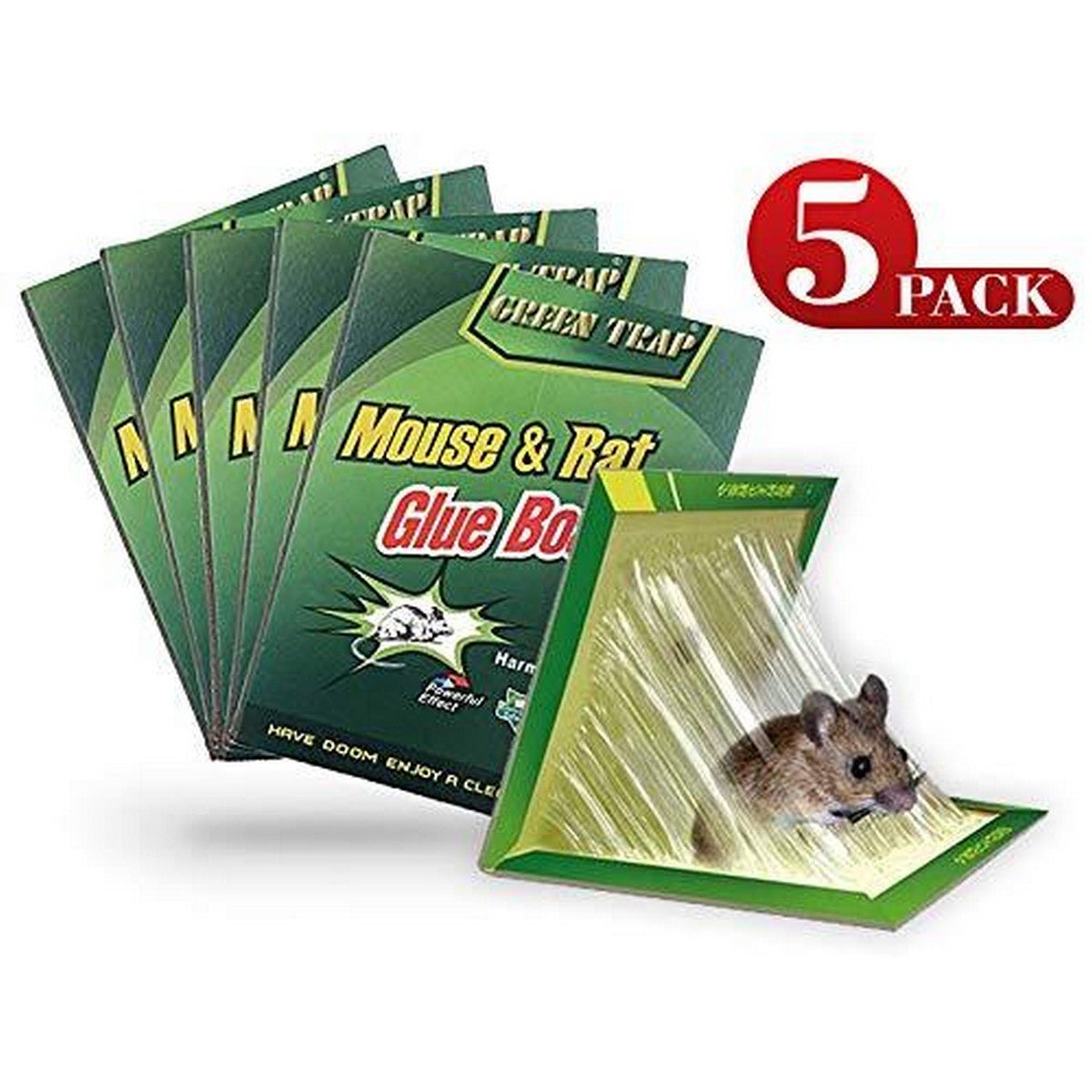 Pack of 5 - Expert Catch Mouse and Rat Glue Catch Trap - Reuseable - Online Shopping in Pakistan: Beauty, Fashion, Electronics, Sports & Lifestyle, VR, Skincare