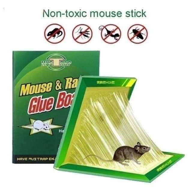 Pack of 5 - Expert Catch Mouse and Rat Glue Catch Trap - Reuseable - Online Shopping in Pakistan: Beauty, Fashion, Electronics, Sports & Lifestyle, VR, Skincare