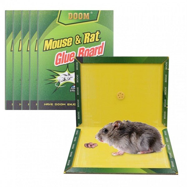 Pack of 5 - Expert Catch Mouse and Rat Glue Catch Trap - Reuseable - Online Shopping in Pakistan: Beauty, Fashion, Electronics, Sports & Lifestyle, VR, Skincare