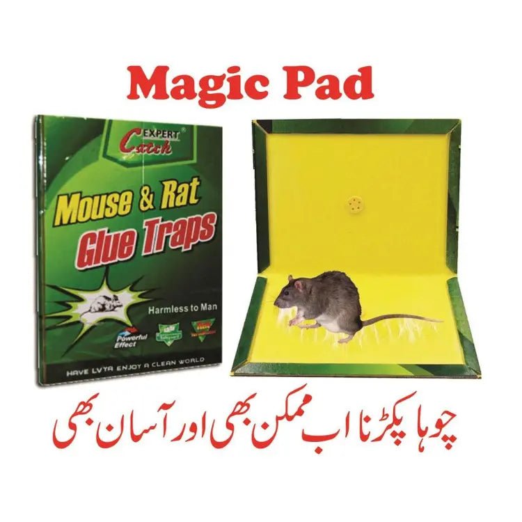 Pack of 5 - Expert Catch Mouse and Rat Glue Catch Trap - Reuseable - Online Shopping in Pakistan: Beauty, Fashion, Electronics, Sports & Lifestyle, VR, Skincare